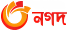 nagad logo